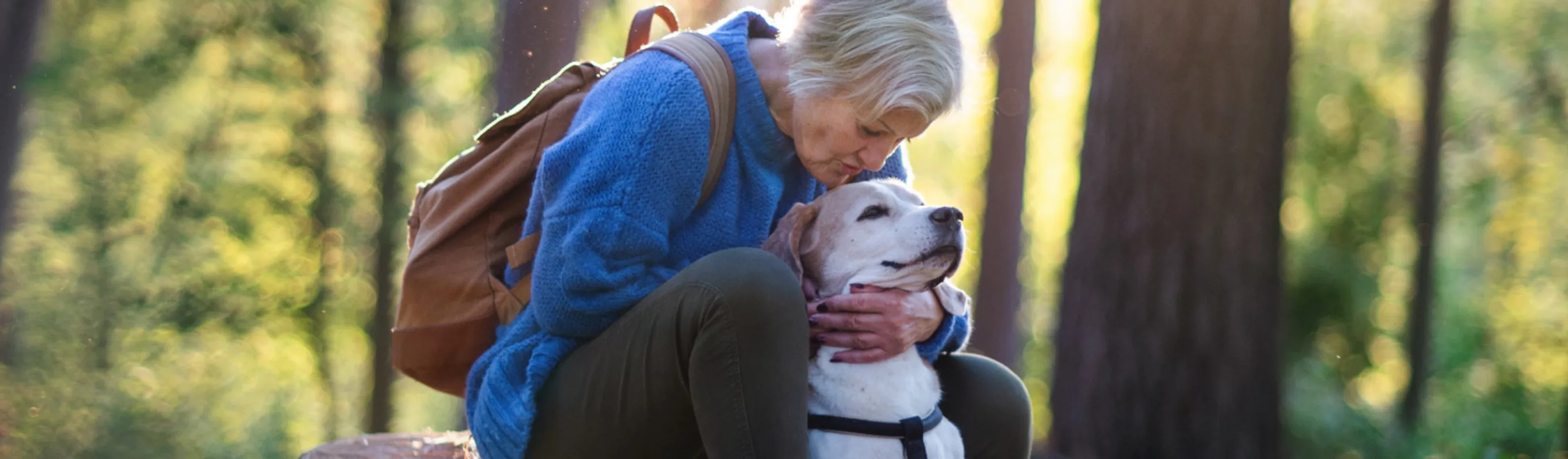 Woman sitting on tree stump in forest and petting her dog